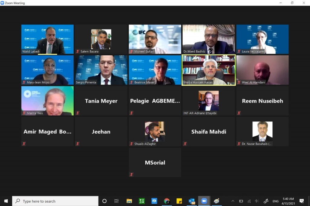 وزير التخطيط خلال اللقاء المرئي