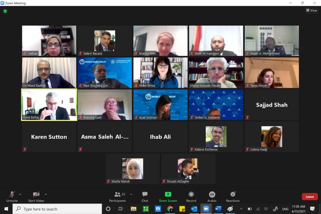 وزير التخطيط خلال اللقاء المرئي