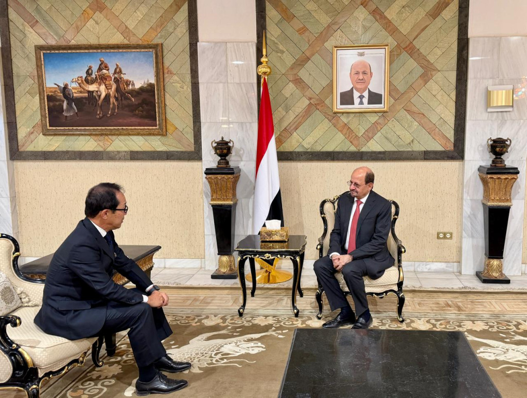 وزير الخارجية يبحث مع السفير الياباني تعزيز التعاون في قضايا أمن البحر الأحمر ورفع جاهزية خفر السواحل