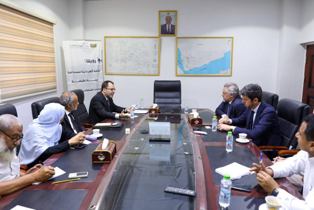 وزير الكهرباء يبحث مع نائب رئيس البنك الدولي تعزيز التعاون المشترك