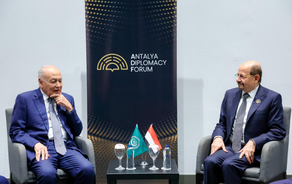 رئيس الوزراء وزير الخارجية يناقش مع أمين عام الجامعة العربية تطورات الأوضاع