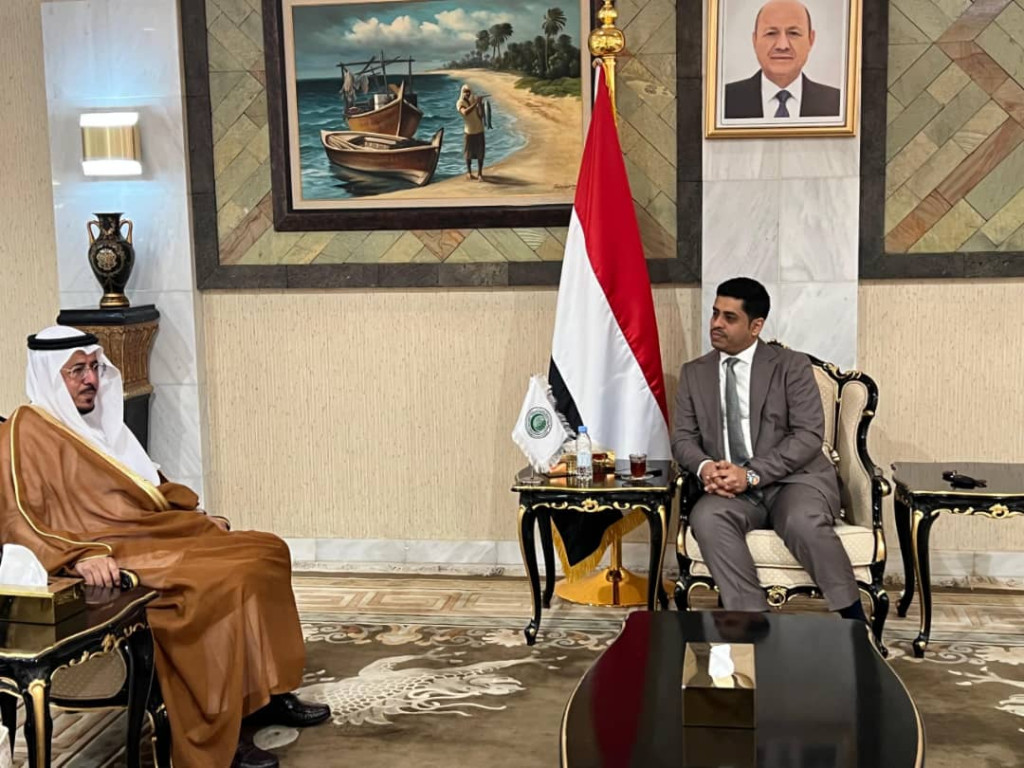 وزير حقوق الإنسان يبحث مع منظمة التعاون الإسلامي سبل تعزيز التعاون والشراكة